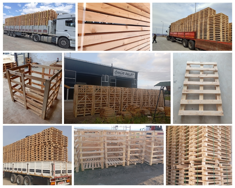 Rochefort Palette Europe, Acheter des palettes en gros